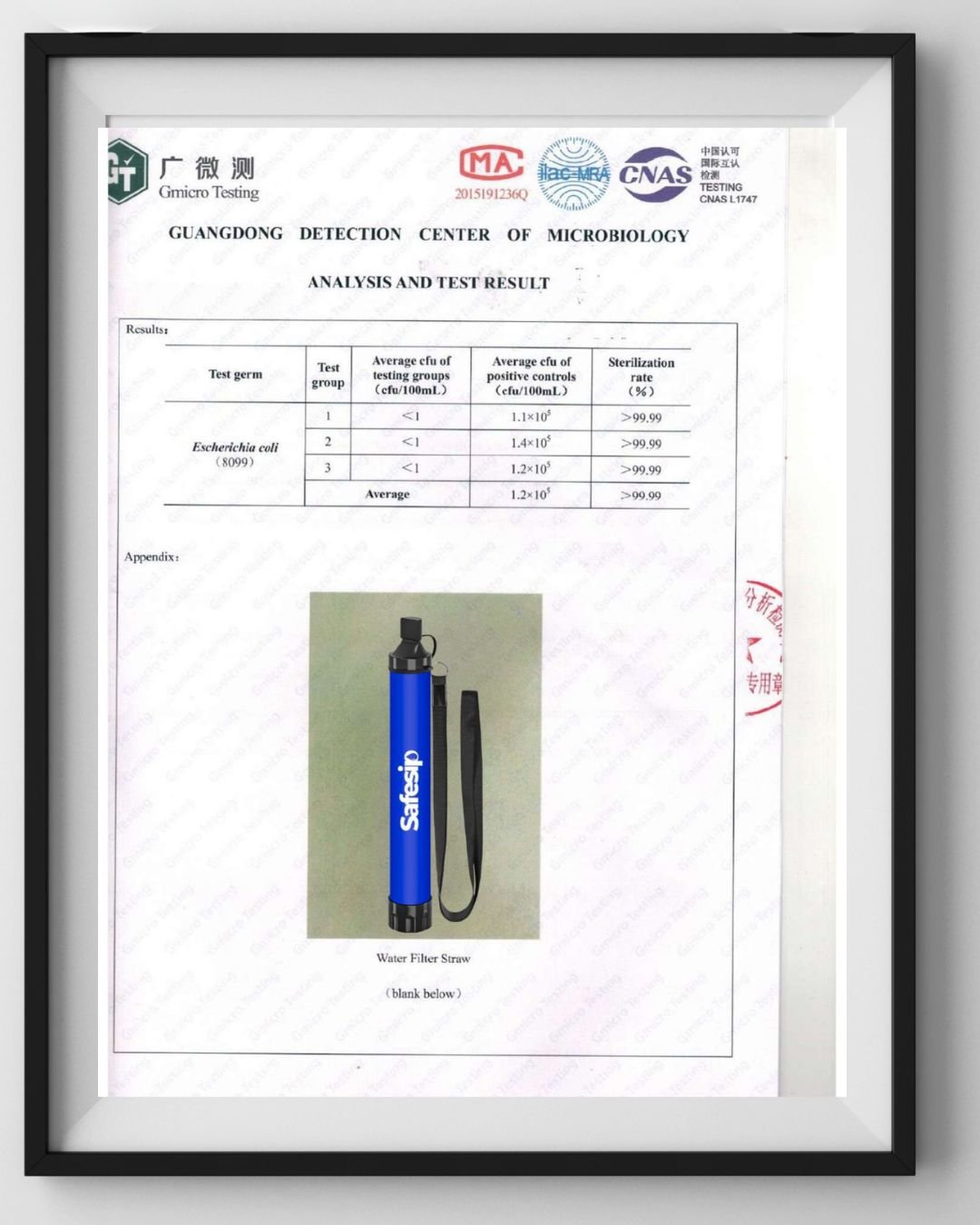 SafeSip Certification Image 1